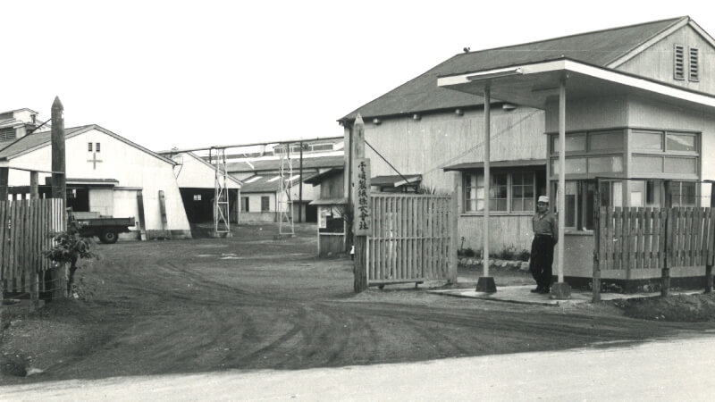1961年